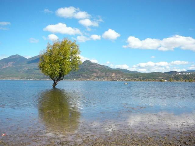 Lashi Lake (Lashihai)